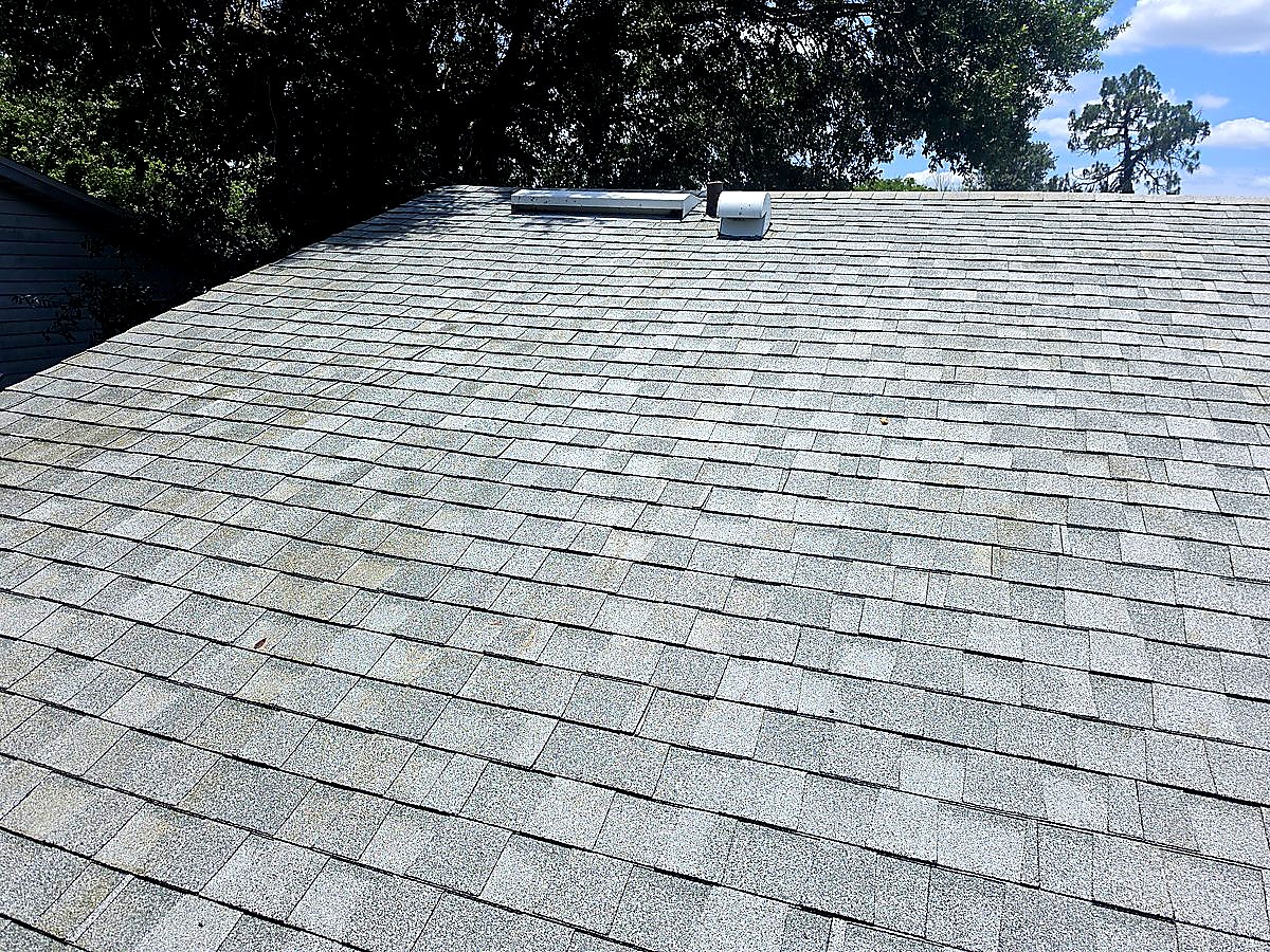Clean shingle roof after soft wash treatment