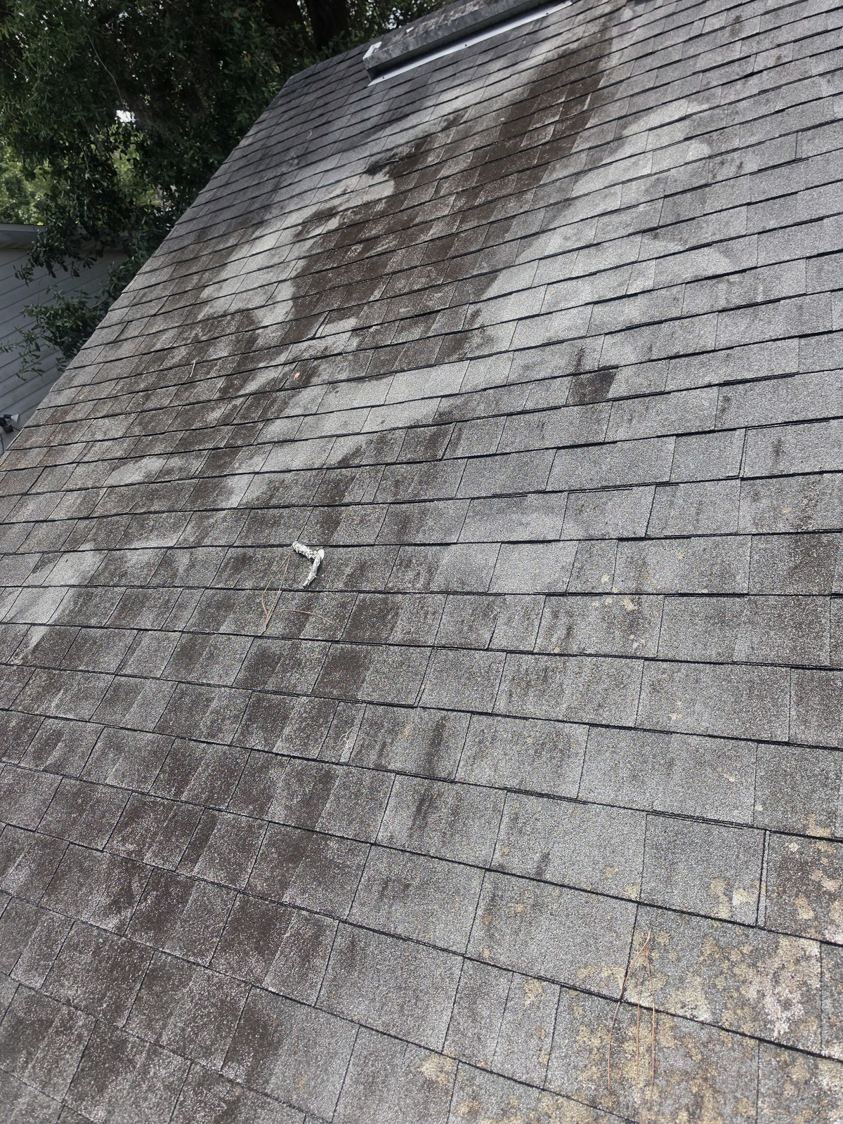 Shingle roof with algae and black streaks before soft wash